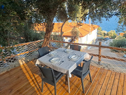 Akbük Günlük Tiny House Kiralama Seçenekleri